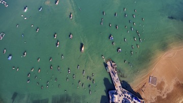 美丽港湾