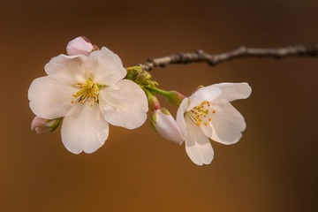 IMG_9152_