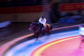 IMG_0787_