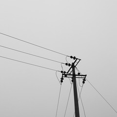 2016-03-04 12.43.01 1