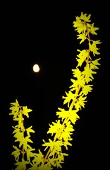 IMG_7782__