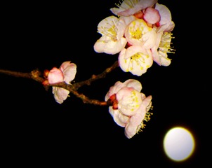 IMG_7881__