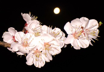 IMG_7925__