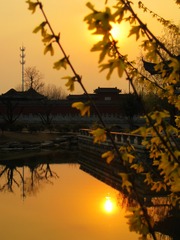 IMG_9172_
