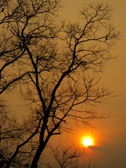 IMG_1867__