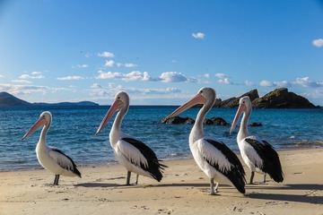 IMG_1026-2
