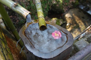 日本庭院2