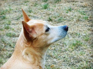 IMG_1911_
