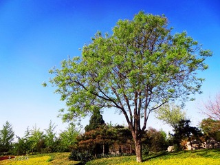 IMG_2280_