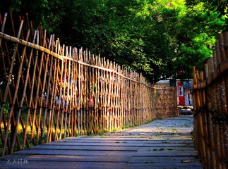 IMG_3144_