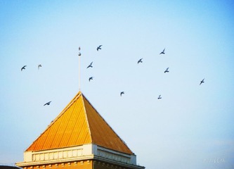IMG_3045_