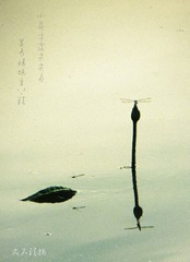 IMG_4194_