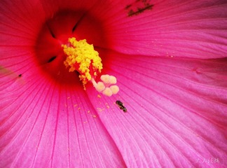 IMG_6156_