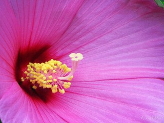 IMG_6623_