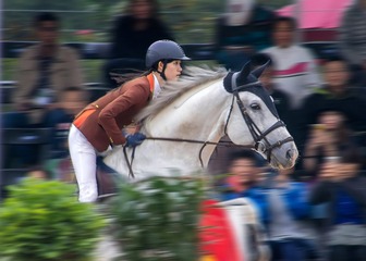IMG_1593-1200a