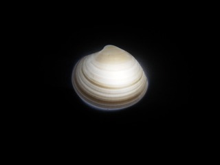 935887