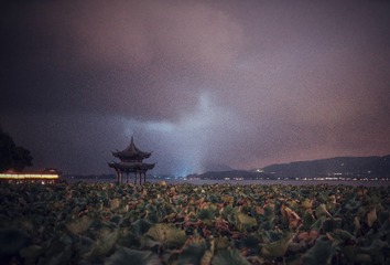 Snapseed 20