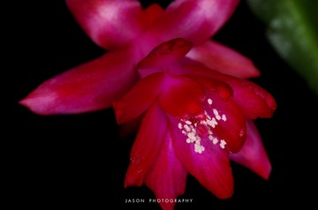 JT007887(1)