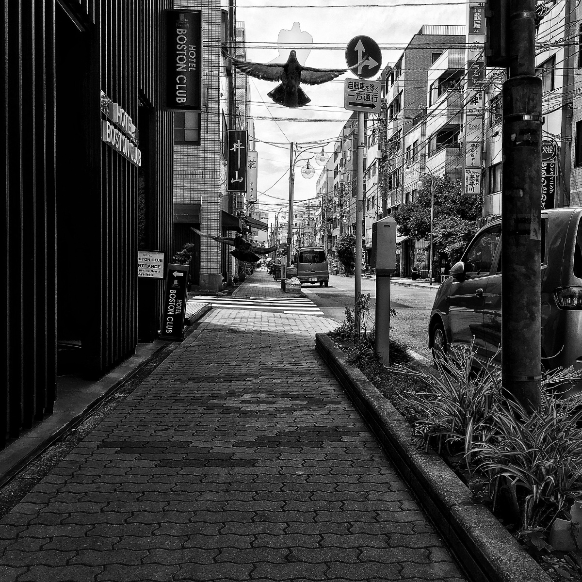 一组手机拍摄的日本街头照片黑白