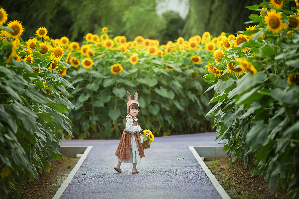 向日葵小女孩