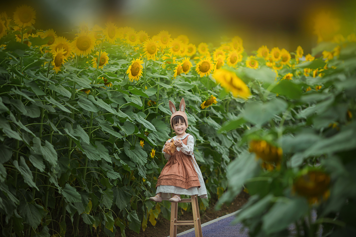 向日葵小女孩