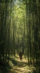 曲径通幽处 禅房花木深