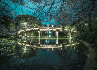不知几桥繁花夜 月伴落英寂无涟