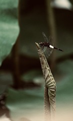 E6910A77-E973-426F-A169-2FCEF553D350/L0/001
