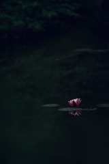 835A9558-AB1C-4B81-93E6-4D2867D4F1B1/L0/001