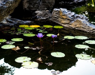 P9130140