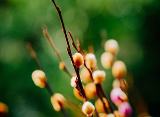 P1230062