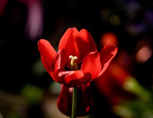 P1230047