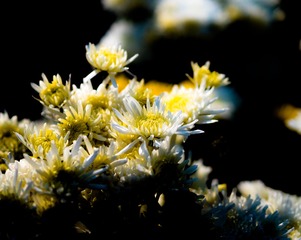 P1230034