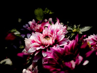 P1230031