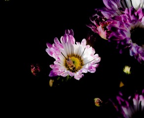 P1230023