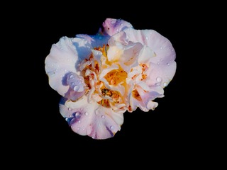 P1250025