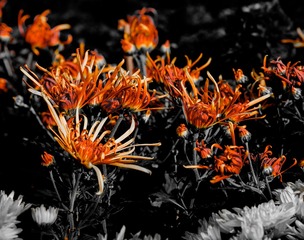 P1250007