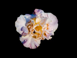 P1250024