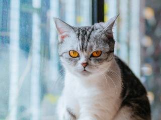 P2020212