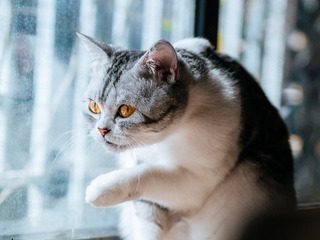 P2020205