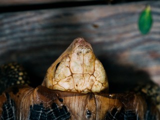 P5050108