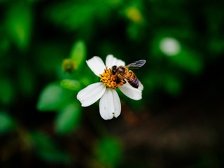 P5050072
