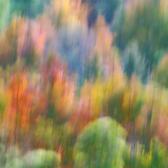 DSC_5262-1_