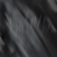 DSC_5210_44441112