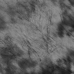 DSC_1009_439911111-2