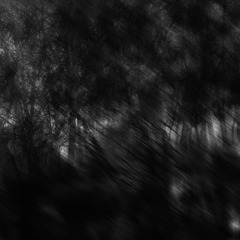 DSC_0995_439411111-2