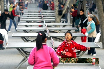 2008年11月30日，摄于西安市环城公园环城西苑段
