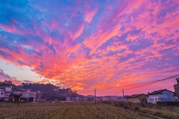 故乡的田野