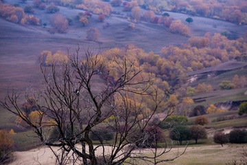 _IMG5374.