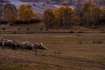 _IMG5437.